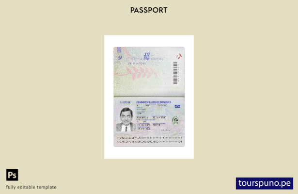 Plantilla de presente de pasaporte de Dominica lista para imprimir